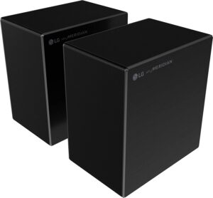 LG DSP11RA Test - Lautsprecher