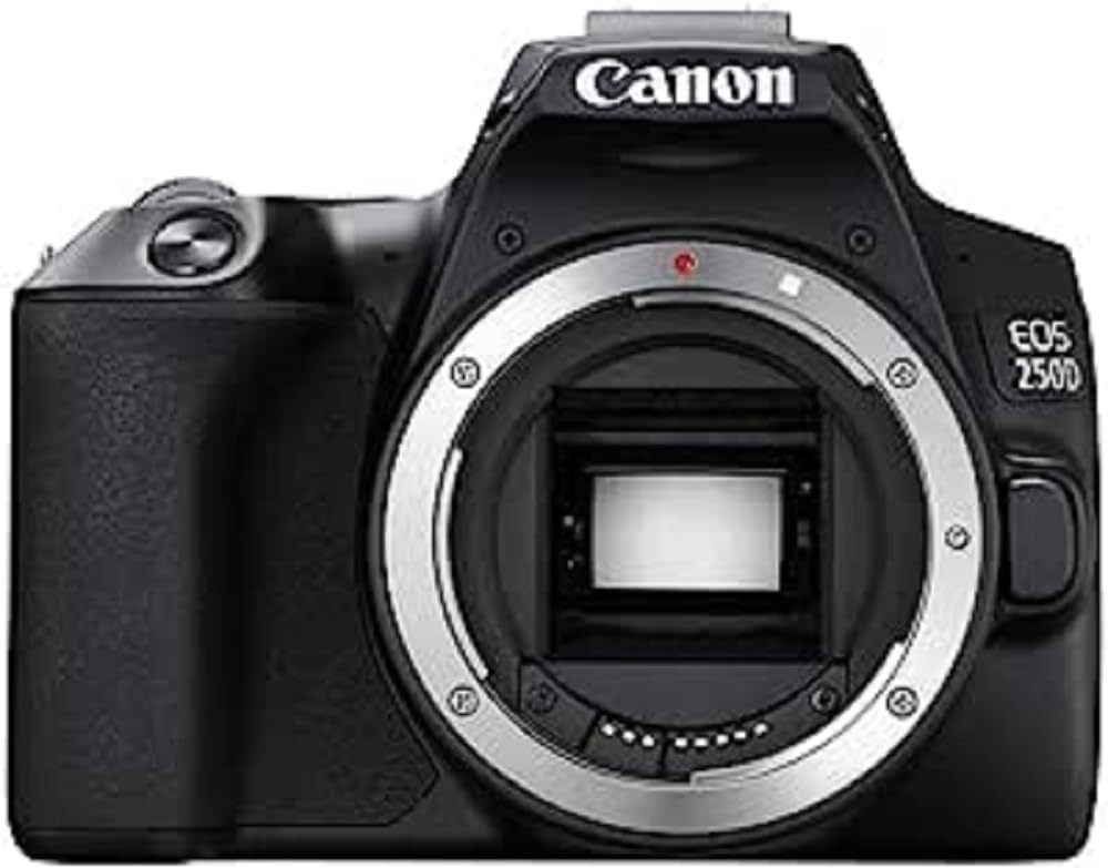 Canon EOS 250D Test