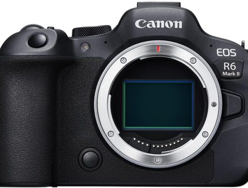 Canon EOS R6 Mark II Test
