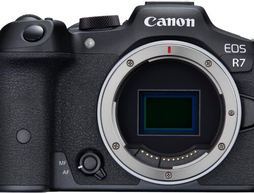 Canon EOS R7 Test