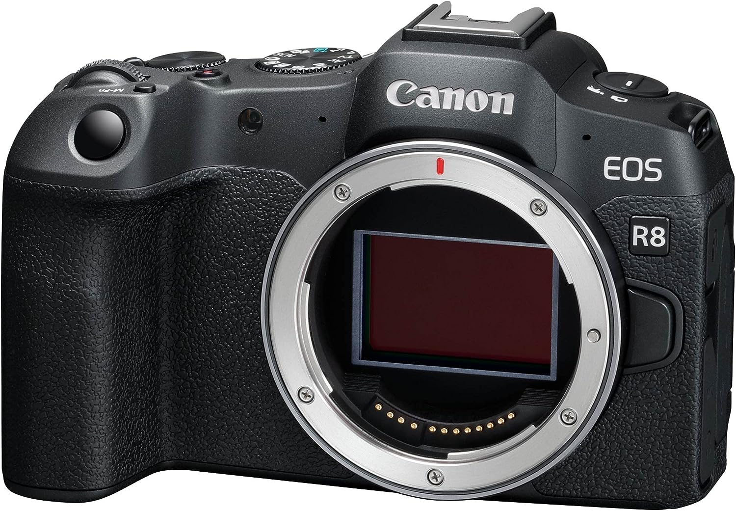 Canon EOS R8 Test