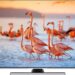 JVC LT-50VU8156 Test